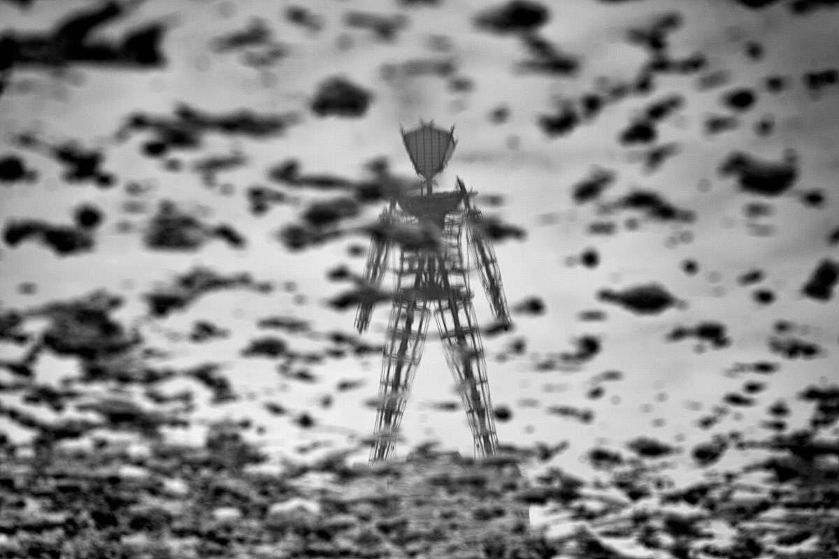 Burning Man festival